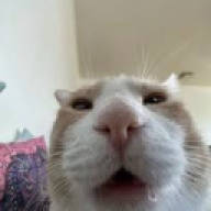ERGIE
